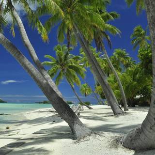 French Polynesia wallpaper