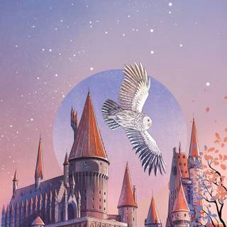 Harry Potter iPad wallpaper