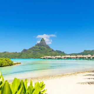 French Polynesia wallpaper