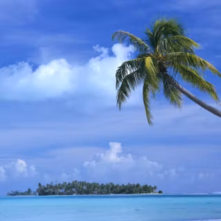 French Polynesia wallpaper