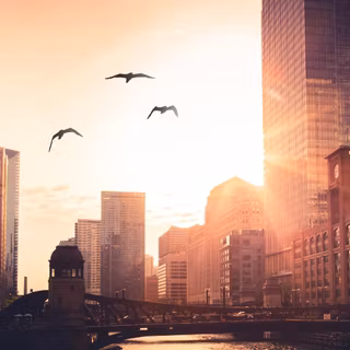 Morning city wallpaper