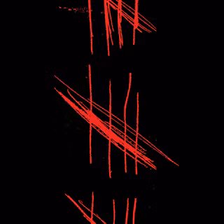 Oldboy movie wallpaper