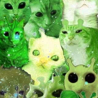 Green cat alien wallpaper