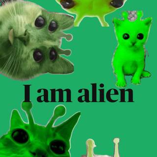 Green cat alien wallpaper