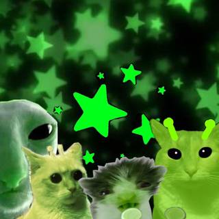 Green cat alien wallpaper