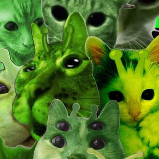 Green cat alien wallpaper