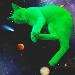 Green cat alien wallpaper