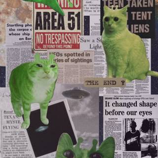Green cat alien wallpaper