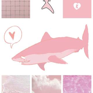 Cute pink sharks wallpaper