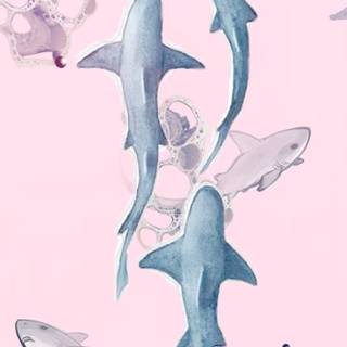 Cute pink sharks wallpaper