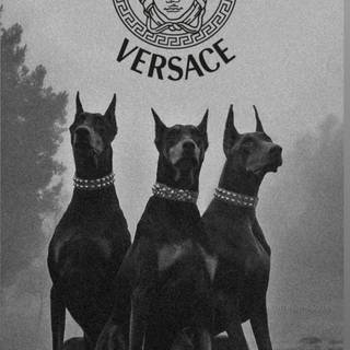 Baddie dog wallpaper