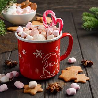 Cookie with marshmallow wallpaper