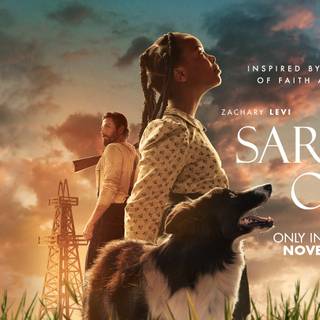 Sarah's Oil wallpaper