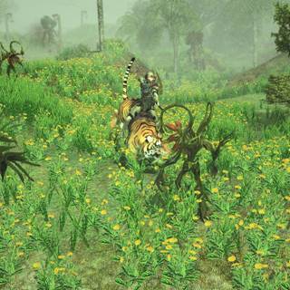 Sacred 2 Remaster wallpaper