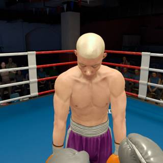 The Thrill of the Fight 2 wallpaper