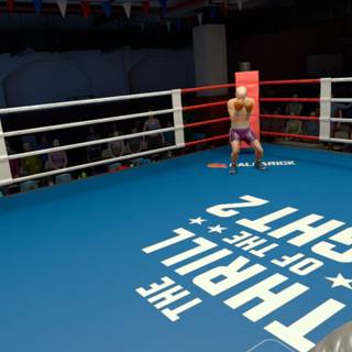 The Thrill of the Fight 2 wallpaper