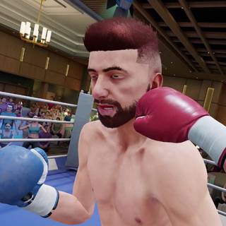 The Thrill of the Fight 2 wallpaper