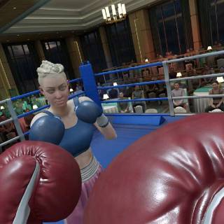 The Thrill of the Fight 2 wallpaper