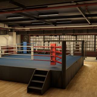 The Thrill of the Fight 2 wallpaper