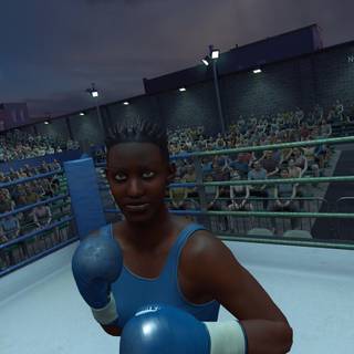 The Thrill of the Fight 2 wallpaper