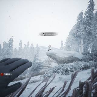 Winter Survival wallpaper