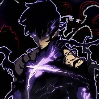 Solo Leveling: Arise Overdrive wallpaper