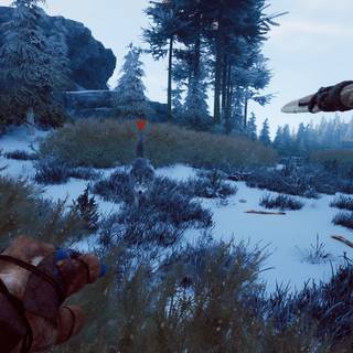 Winter Survival wallpaper