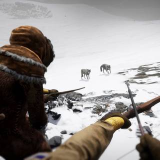 Winter Survival wallpaper