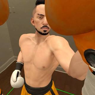 The Thrill of the Fight 2 wallpaper