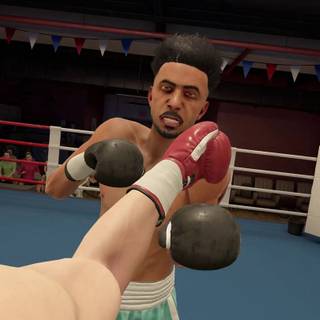 The Thrill of the Fight 2 wallpaper