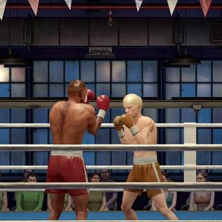 The Thrill of the Fight 2 wallpaper