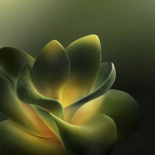 Moto Edge 70 wallpaper