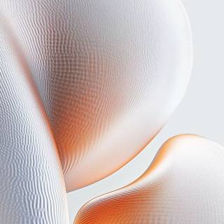 Nubia Z80 Ultra wallpaper