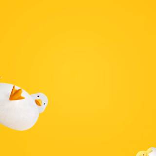 Honor Magic 8 Pro wallpaper