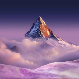 Honor Magic 8 Pro wallpaper