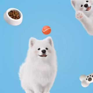 Honor Magic 8 Pro wallpaper