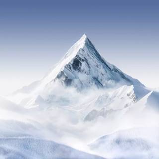 Honor Magic 8 Pro wallpaper