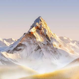 Honor Magic 8 Pro wallpaper