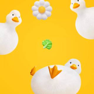 Honor Magic 8 Pro wallpaper