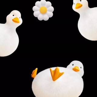 Honor Magic 8 Pro wallpaper