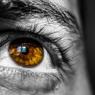 Selective color wallpaper