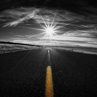 Selective color wallpaper