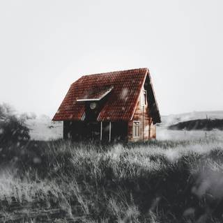 Selective color wallpaper