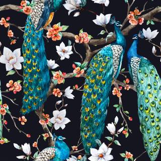 Peacock blue wallpaper