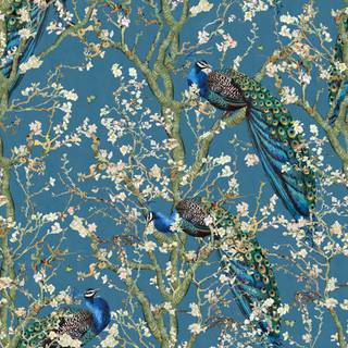 Peacock blue wallpaper