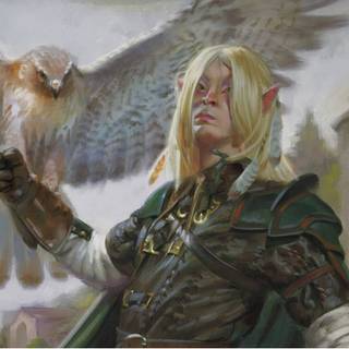 Wood Elves wallpaper