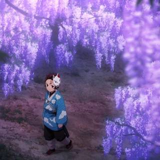 Tanjiro Wisteria wallpaper