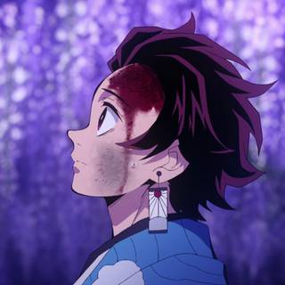 Tanjiro Wisteria wallpaper