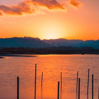 Waterscape wallpaper