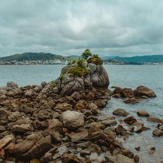 Waterscape wallpaper